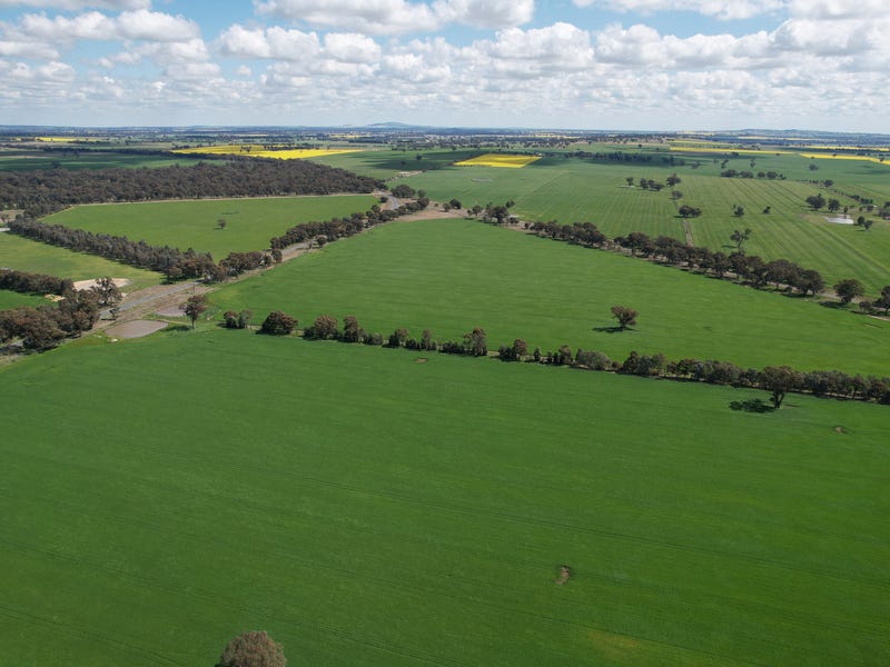 Cleveland HentyWalla Road, Culcairn, NSW 2660 Cropping for Sale