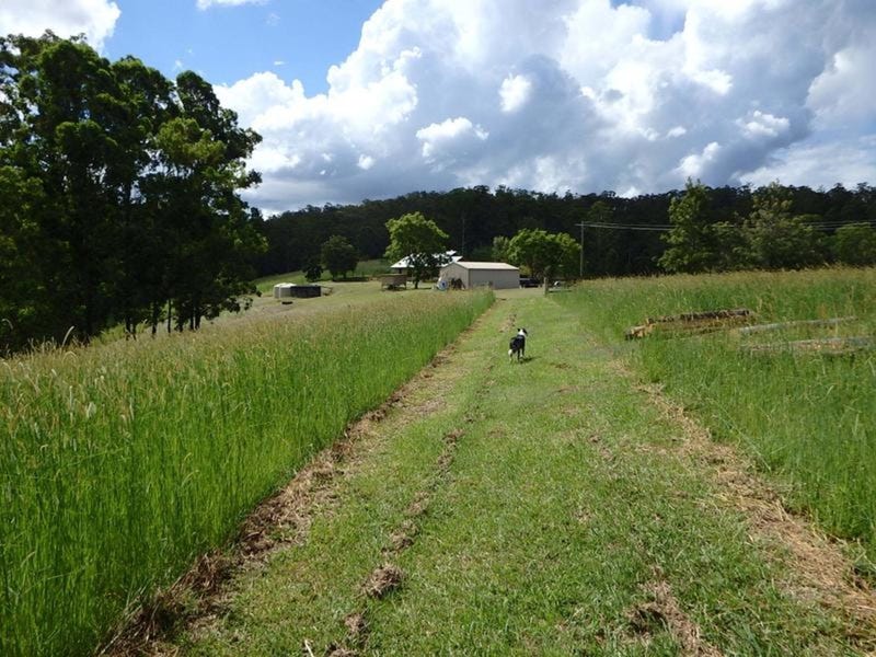 60 Newtons Road, Eden Creek, NSW 2474