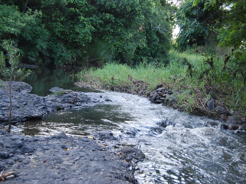 Villas for Rent in Yandina, QLD 4561