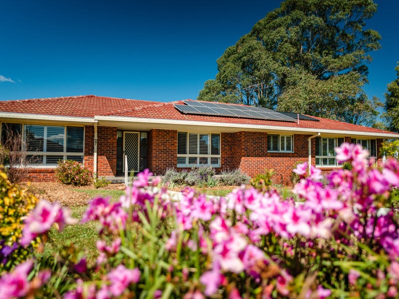 37 Kurrajong Street, Dorrigo, NSW 2453 House for Sale