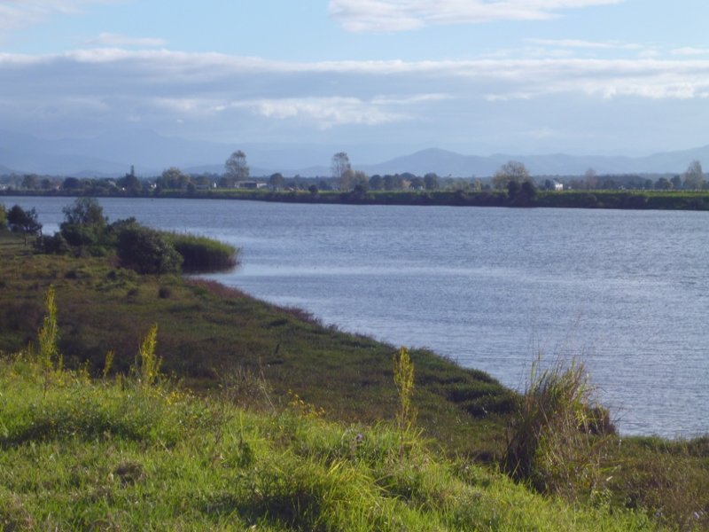 541 South West Rocks Road, Pola Creek, NSW 2440