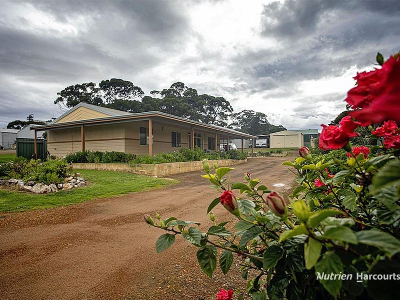 51 Martin Street, Ravensthorpe, WA 6346 House for Sale realestate