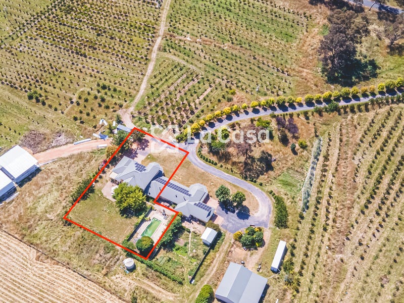 559 Wallaroo Road, Wallaroo, NSW 2618