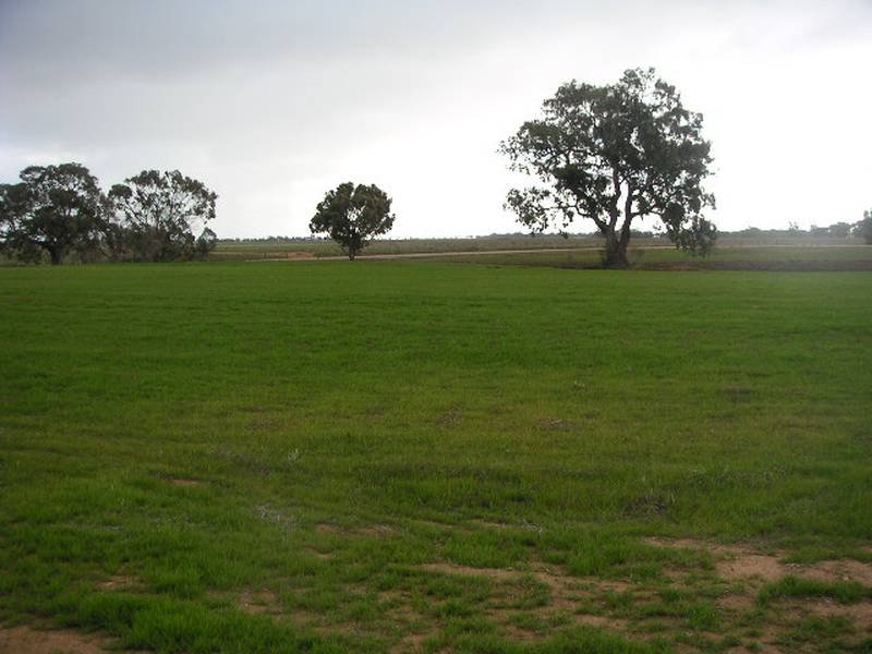 931 Murray Valley Highway, Echuca, Vic 3564 Property Details