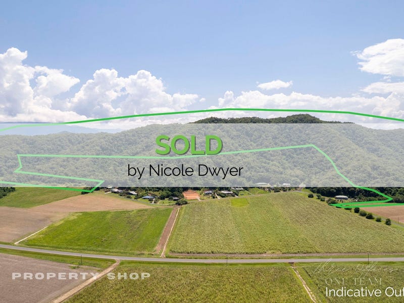 Lot 100 Mossman Daintree Road, Lower Daintree, QLD 4873