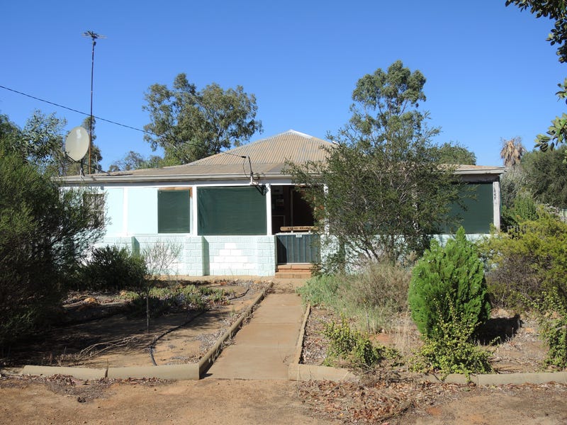 52 Williamson Street, Three Springs, WA 6519