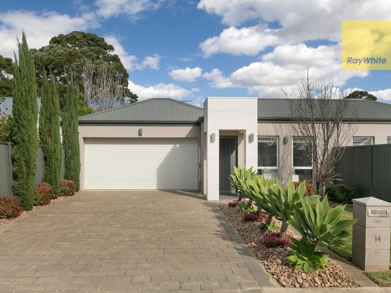 14 Stanley Street, Glengowrie, SA 5044