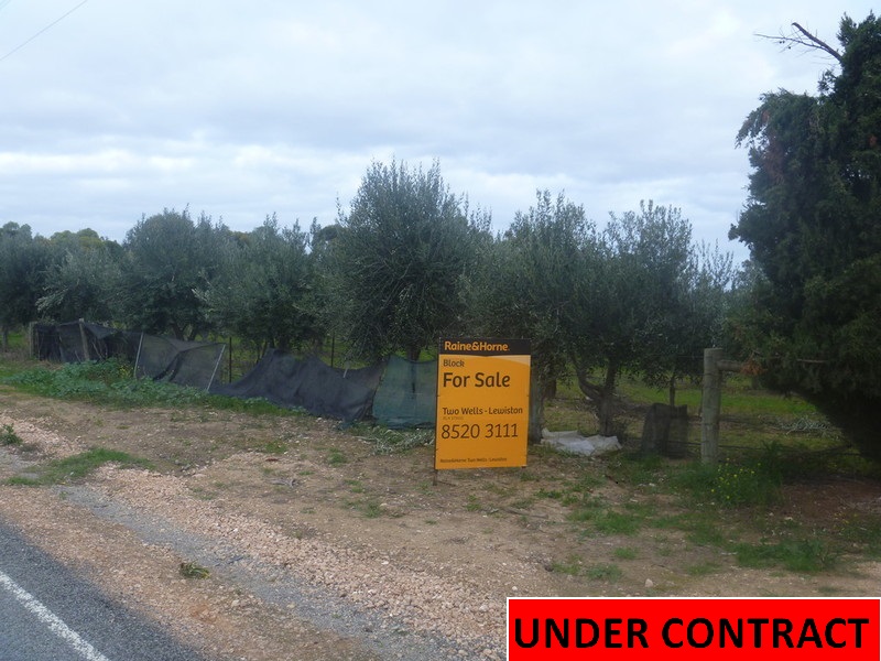 7 Williams Road, Two Wells, SA 5501