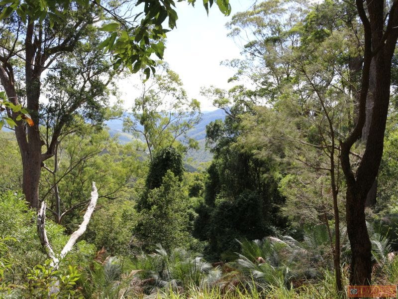 3462 Nowendoc Road, Caffreys Flat, NSW 2424