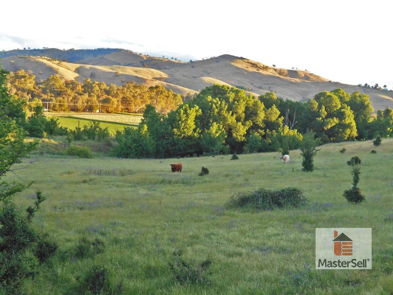 Rural properties for Sale in NSW (+1 location) Pg. 26 - realestate.com.au