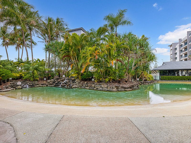 336/21 Wirraway Street, Alexandra Headland, QLD 4572 - realestate.com.au