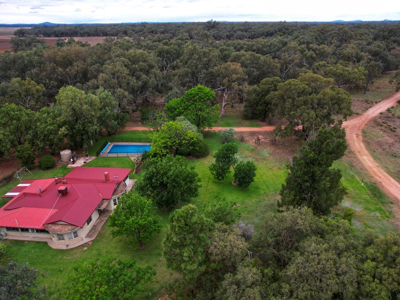 985 North Forbes Road, Condobolin, NSW 2877 Property Details