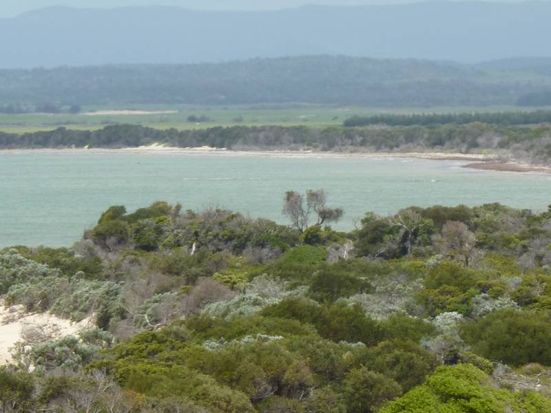 . Ransons Beach, Waterhouse, Tas 7262 Property Details