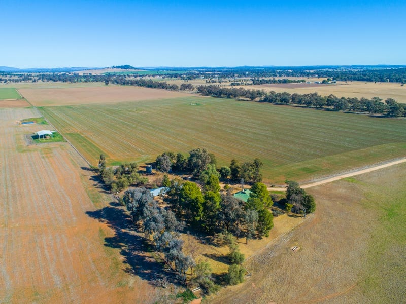 165 Pengillys Lane, Eugowra, NSW 2806 Property Details