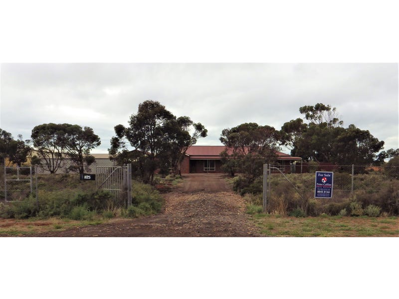 25 MULLAQUANA ROAD, Whyalla, SA 5600 Property Details