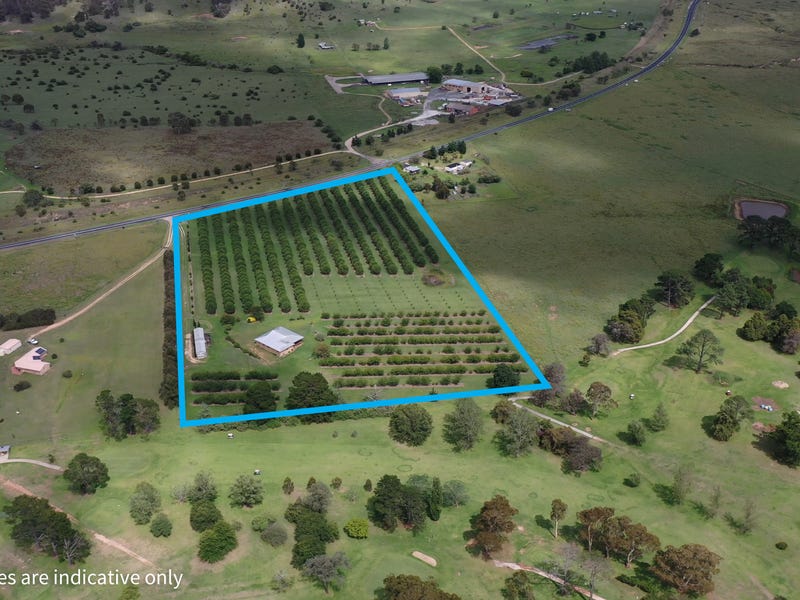 362 New England Highway, Tenterfield, NSW 2372 House for Sale