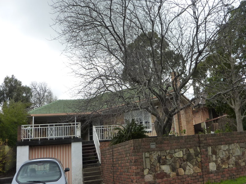 10 Highfield Drive, Tea Tree Gully, SA 5091