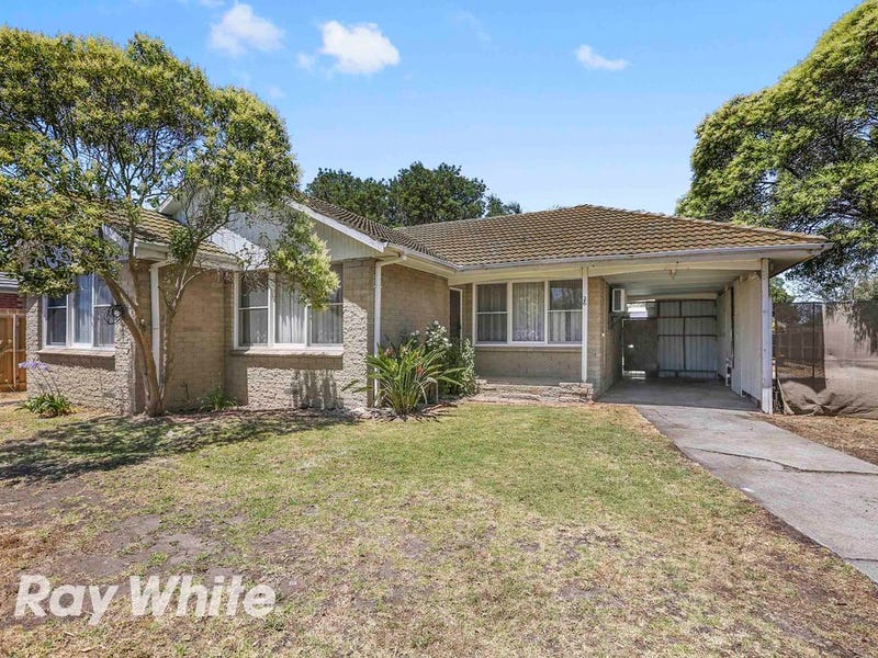 26 Pine Avenue, North Shore, VIC 3214