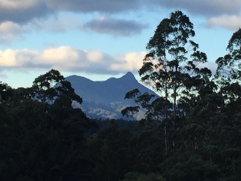 3850 Kyogle Road, Mount Burrell, NSW 2484