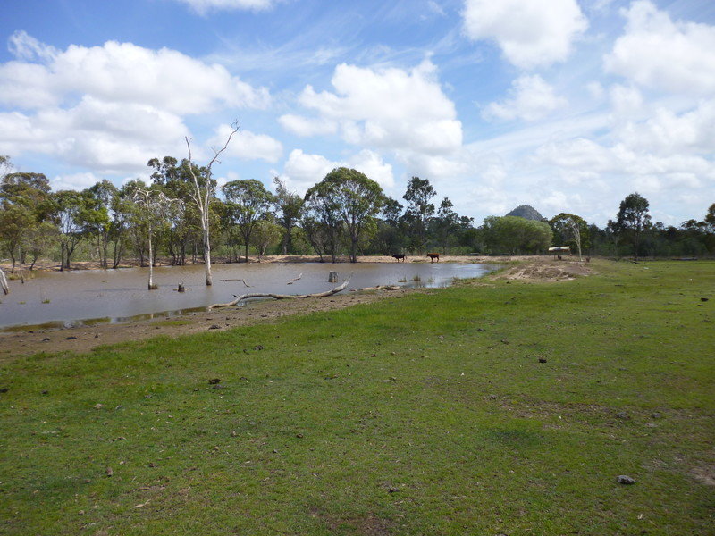 223 Dairy Inn Road, Cawarral, Qld 4702 Property Details