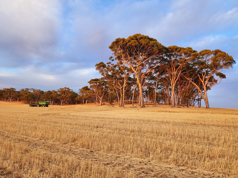 . Dumbarton Road, Dumbarton, WA 6566 Property Details