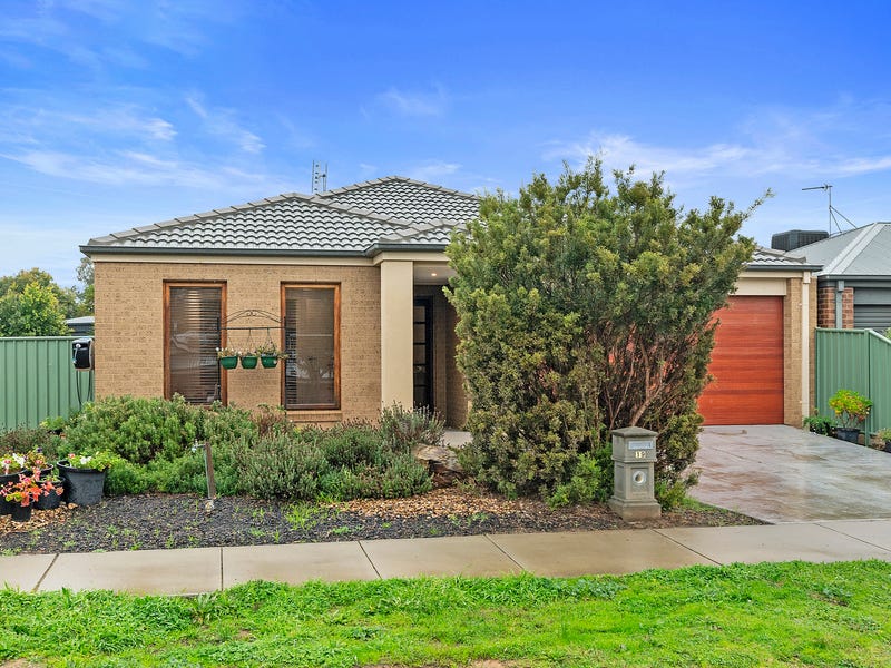 19 Triplett Avenue, Ascot, Vic 3551