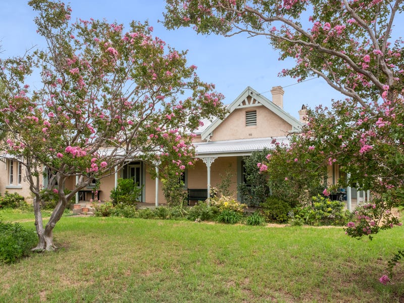 " Beaumont ", Ashford, NSW 2361 Other for Sale