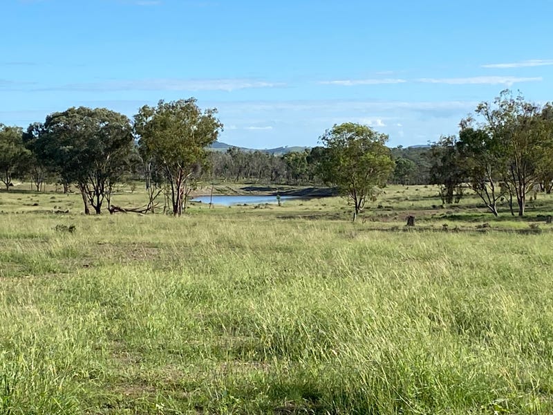 Mountain View, Texas, Qld 4385 Livestock for Sale