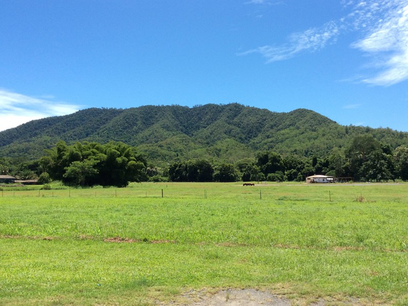 Lot 1 Little Mulgrave Road, Little Mulgrave, QLD 4865