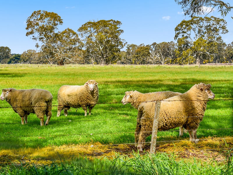 Rural properties for Sale in SA Pg. 2