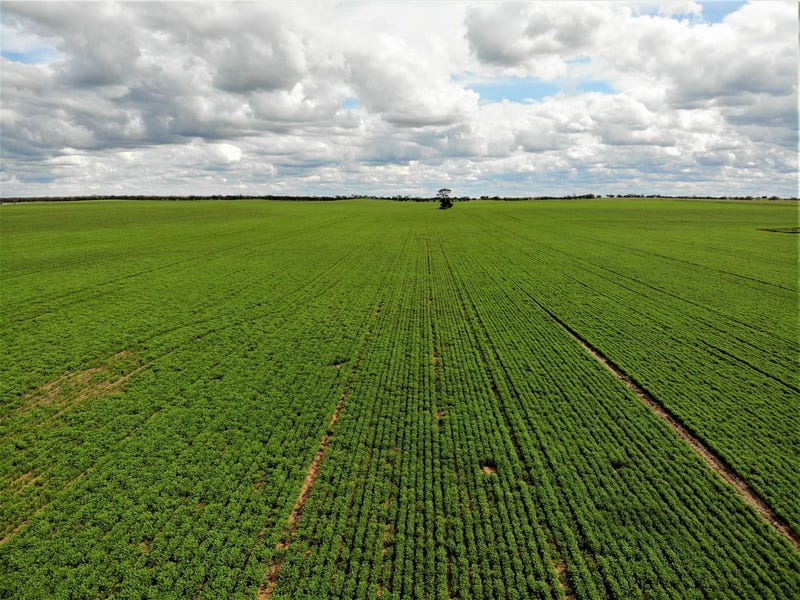 . Mallee Highway, Ouyen, Vic 3490 Property Details