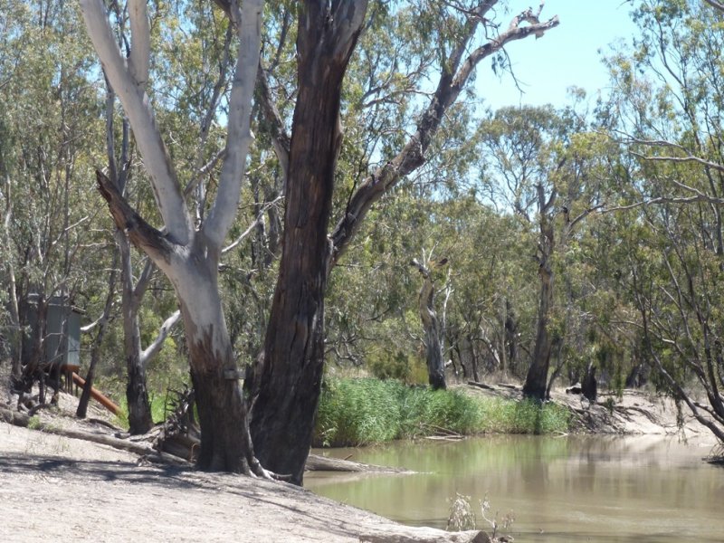 0 Deniliquin Barham Road, Barham, NSW 2732 Property Details