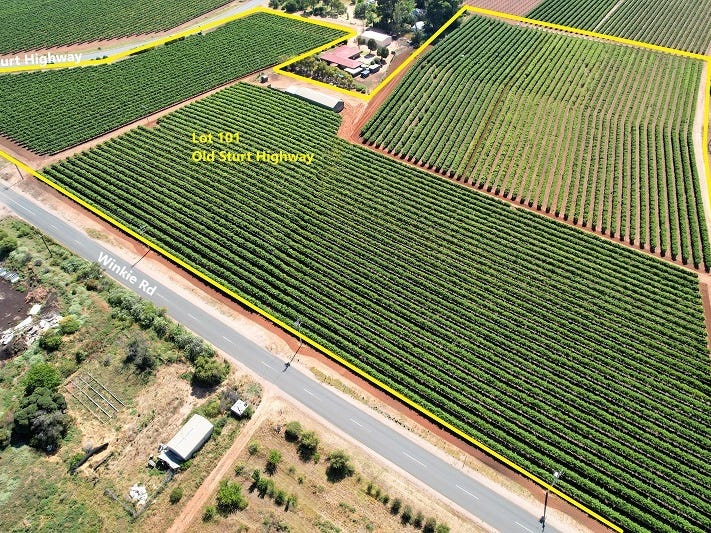 Lot 101 Old Sturt Highway & 96 Winkie Road, Glossop, SA 5344 Property