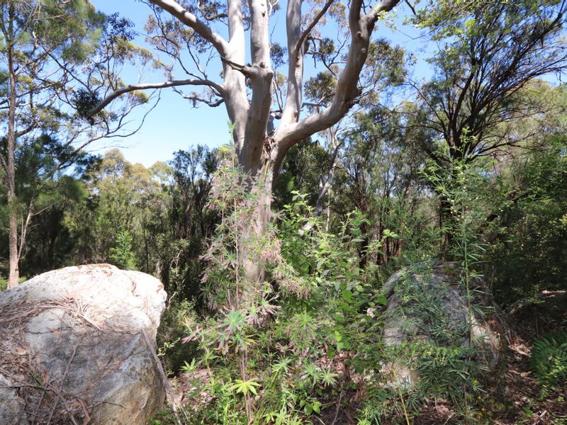 120 Myers Road, Denmark, WA 6333 Lifestyle for Sale