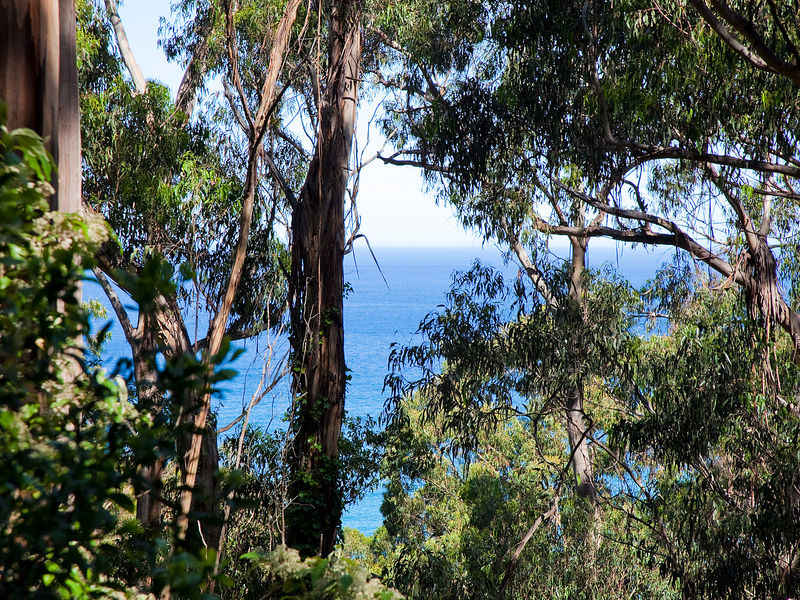 11 Koonya Avenue, Wye River, VIC 3234