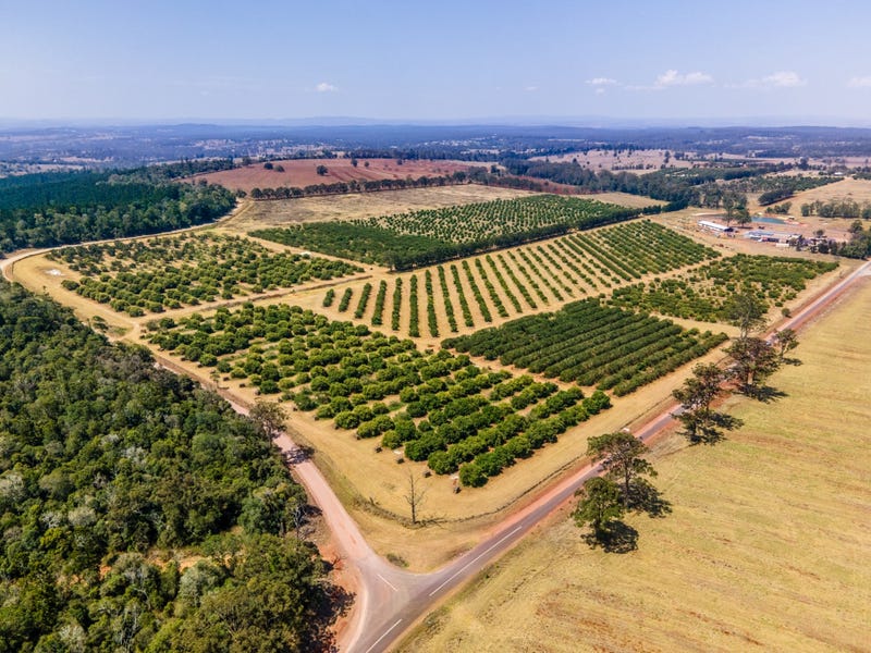 Real Estate & Property for Sale in Balmoral, NSW 2283 (+1 location) Pg