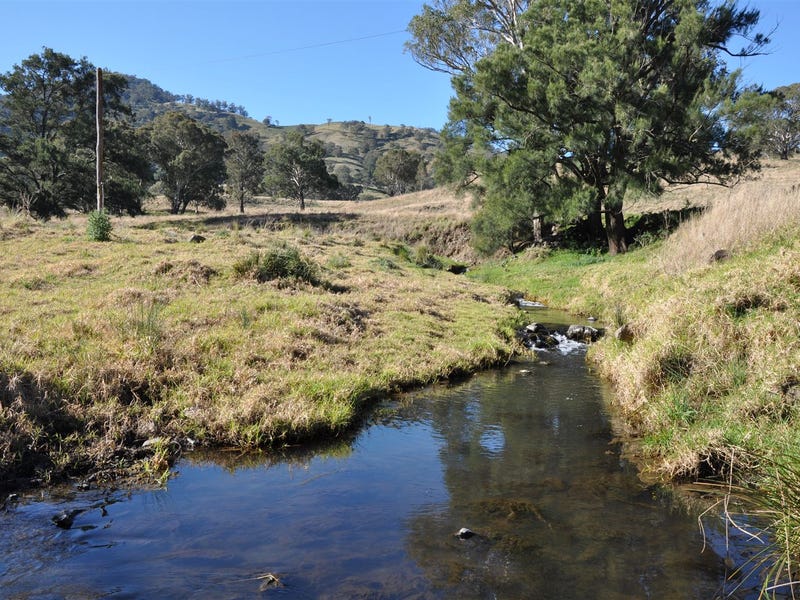 'Towarri' 2360 Upper Dartbrook Rd, Kars Springs via, Scone, NSW 2337