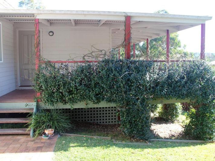 50 Japonica Drive, Wyoming, NSW 2250