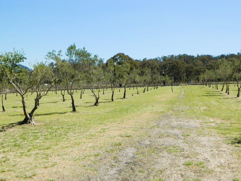 485 Reedy Creek Rd, Rylstone, NSW 2849 Lifestyle for Sale