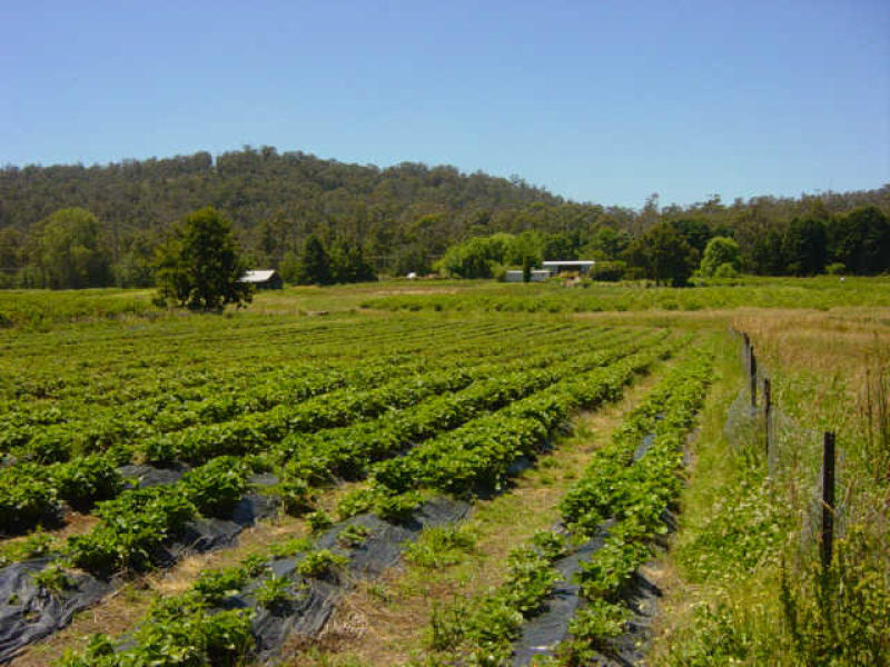 105 Hillwood Road, Hillwood, TAS 7252