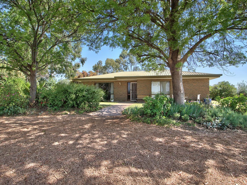 170 Eighth Street, Renmark, SA 5341 Property Details