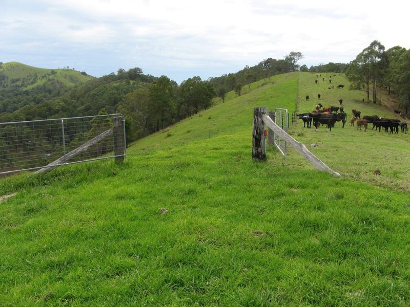 1286 Wherrol Flat Road, Wherrol Flat, NSW 2429