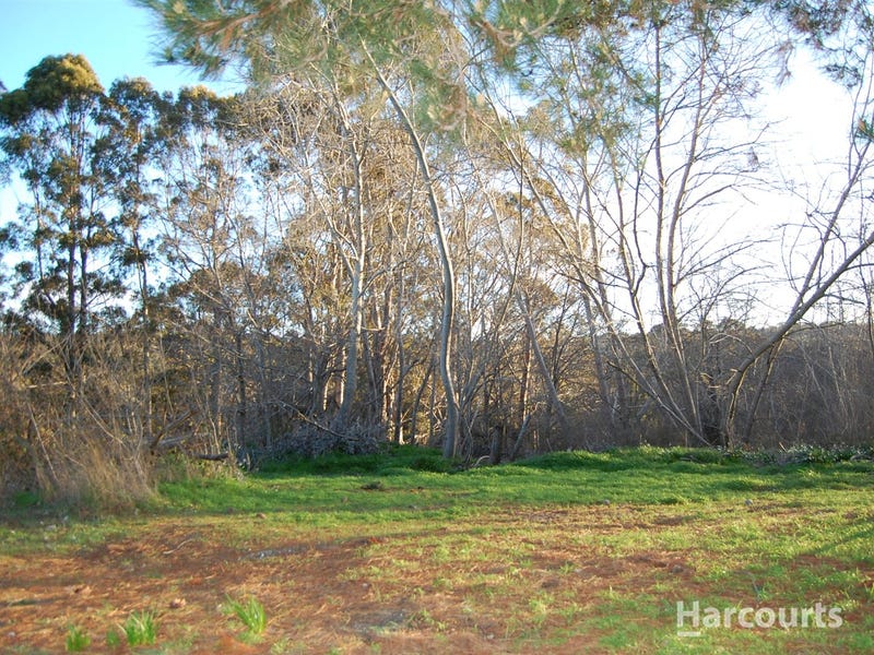 5 Richards Street, Lefroy, TAS 7252