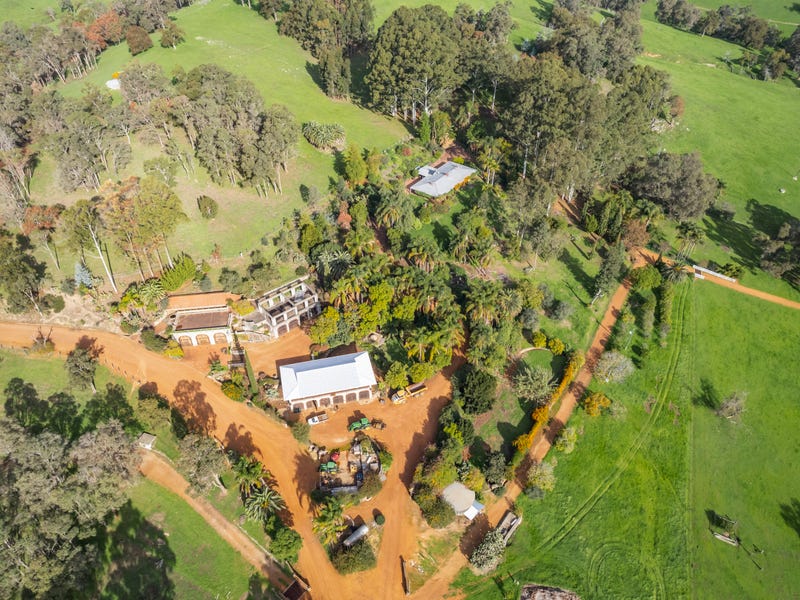 Burekup address available on request Livestock for Sale 700315148