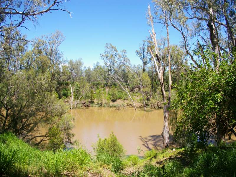 26 Old Kildonan Road, Goondiwindi, QLD 4390 - realestate.com.au