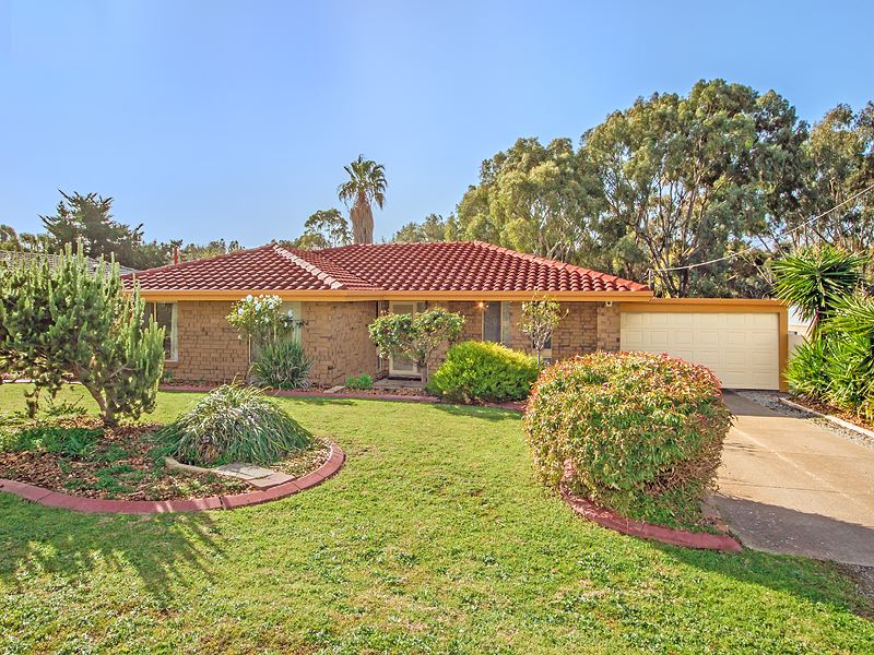 59 Doctors Road, Morphett Vale, SA 5162