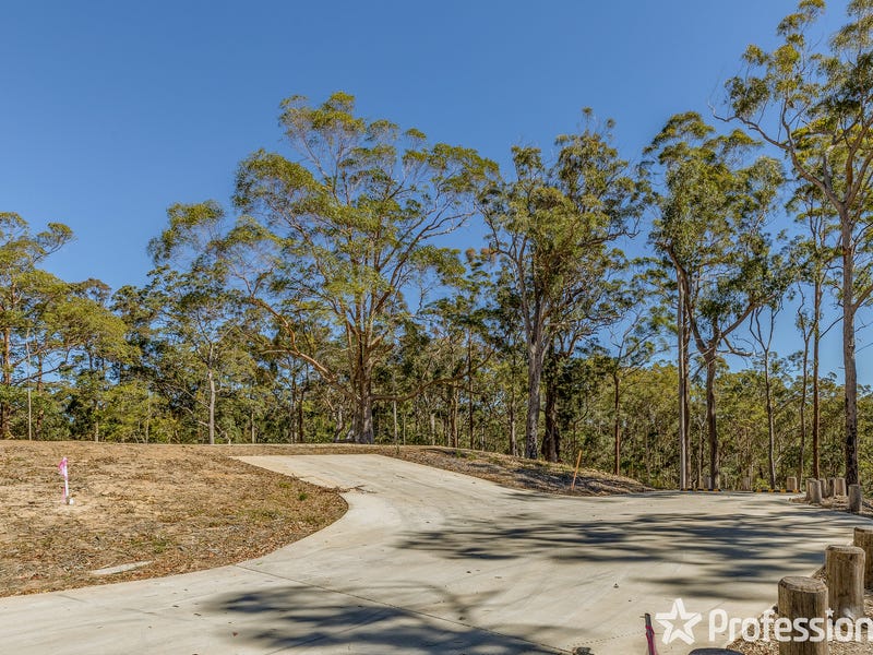 Real Estate & Property for Sale in Wongawallan Rd, Tamborine Mountain