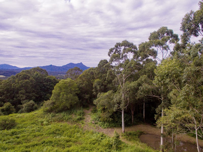 430 Mount Burrell Road, Uki, NSW 2484 Property Details