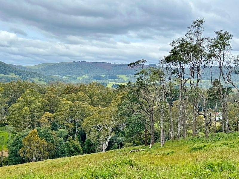 2, Tasman Highway, Weldborough, Tas 7264 Other for Sale realestate