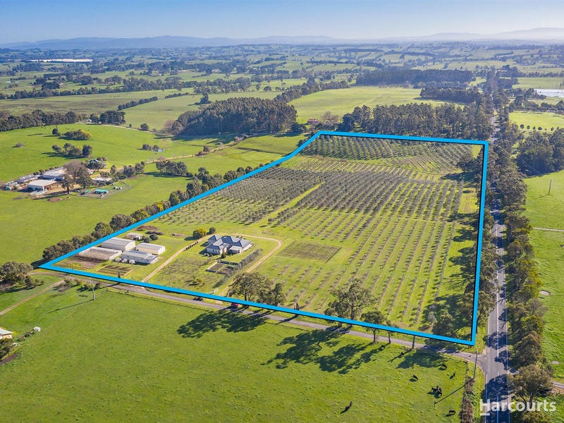 16 Shearmans Road, Darnum, Vic 3822 Property Details